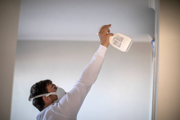 Best Basement Mold Remediation in Chelsea, AL
